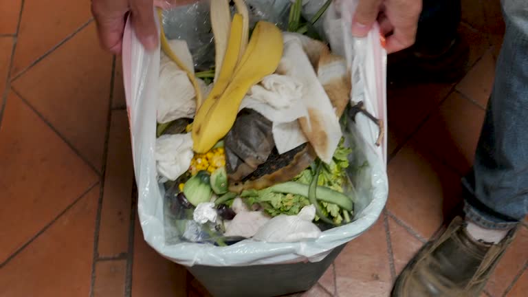 Best Commercial Junk Removal  in Monongah, WV